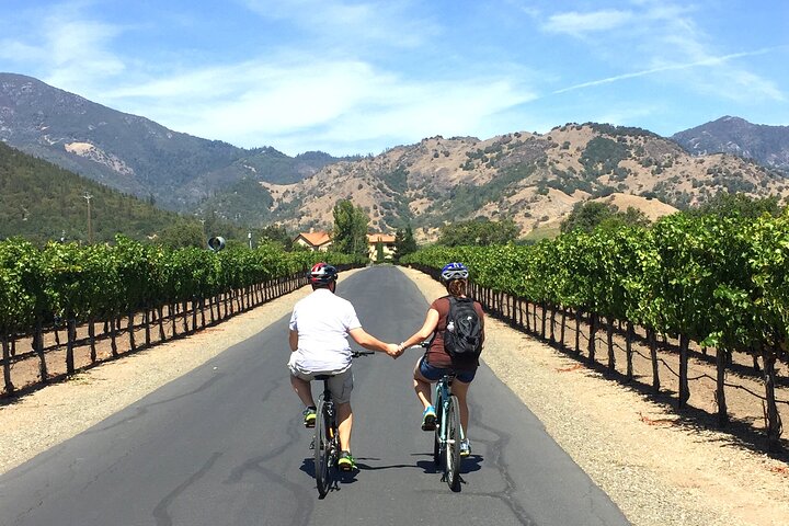 Guided Healdsburg Wine Country Bike and Wine Tasting Tour with lunch