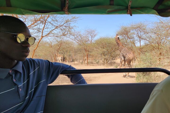 Discover Bandia Safari and the Pink Lake 2 Participants Minimum