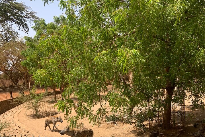 Discover Bandia Safari and the Pink Lake 2 Participants Minimum