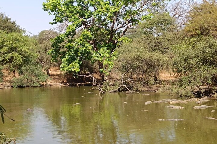 Discover Bandia Safari and the Pink Lake 2 Participants Minimum