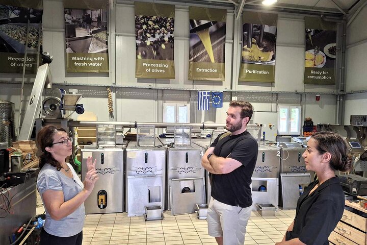 Kefalonia: Private Olive Oil, Honey & Wine Tasting Experience