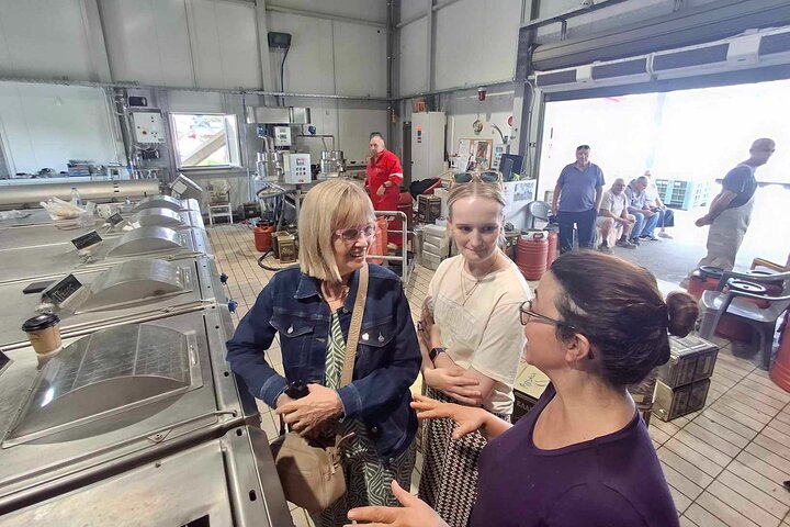 Kefalonia: Private Olive Oil, Honey & Wine Tasting Experience
