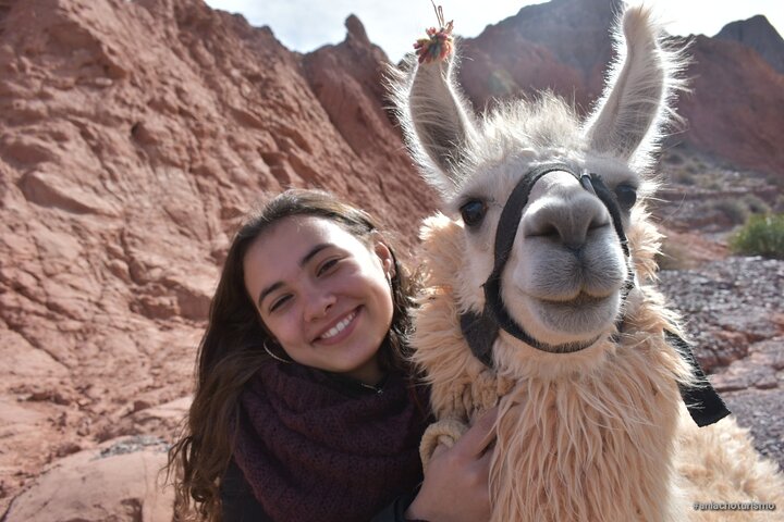 Purmamarca Walk with Llamas