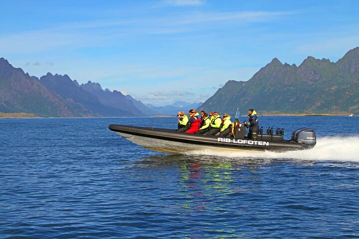 Lofoten RIB Sea Eagle Safari and Trollfjord Cruise
