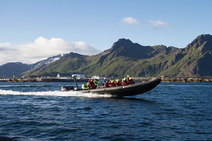 Lofoten RIB Sea Eagle Safari and Trollfjord Cruise