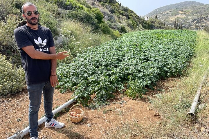 Naxos Perivoli Farm Experience & Wood-fire Cooking Class