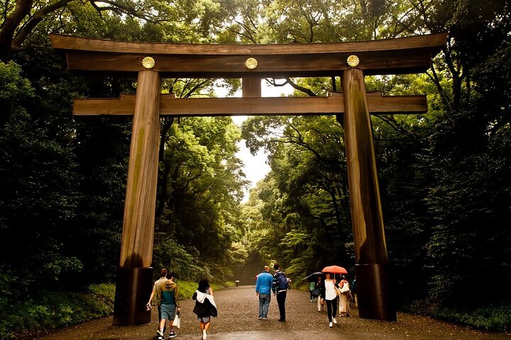 Tokyo Private Tour With English Guide & Fully Customizable
