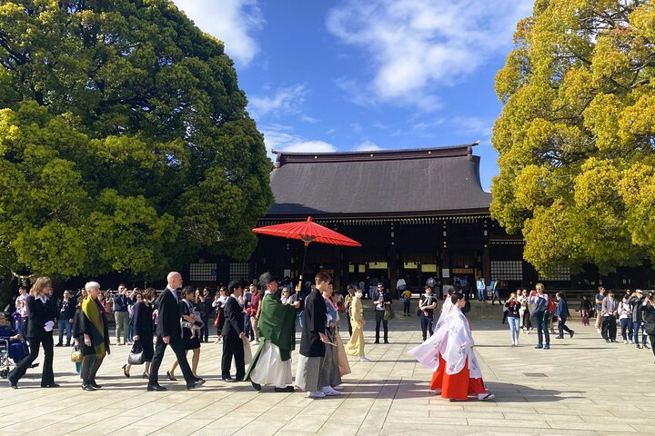 Tokyo Private Tour With English Guide & Fully Customizable