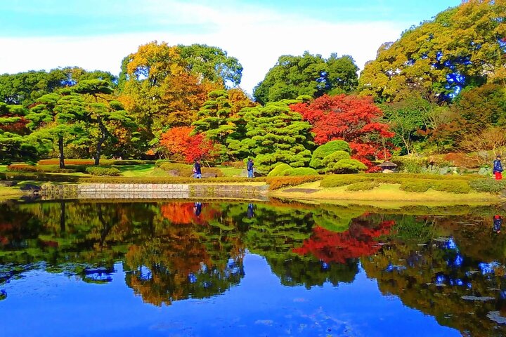 Tokyo Private Tour With English Guide & Fully Customizable
