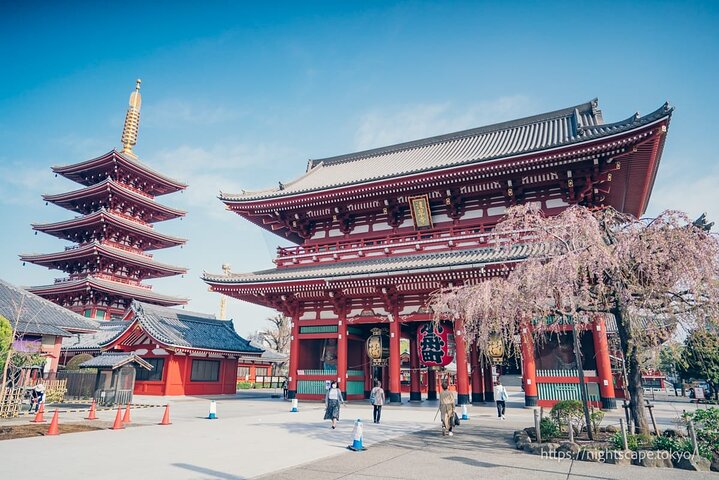 Tokyo Private Tour With English Guide & Fully Customizable