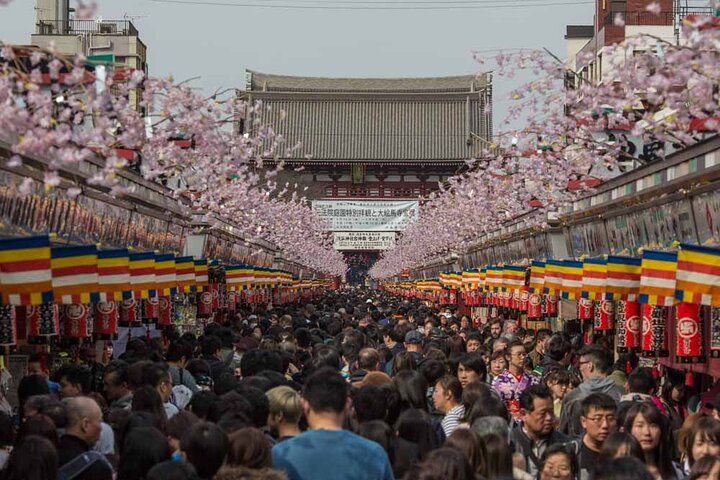 Tokyo Private Tour With English Guide & Fully Customizable