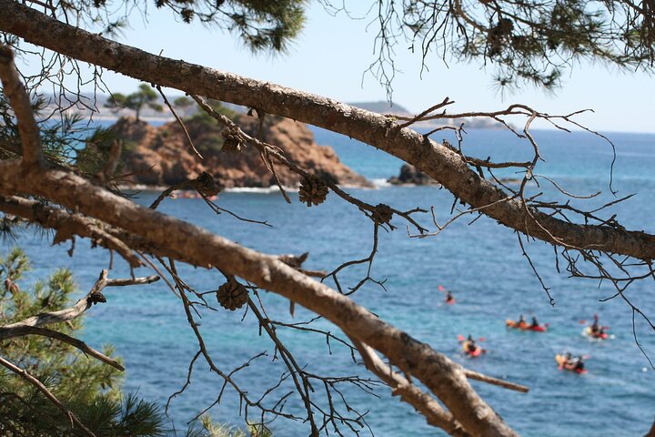 Costa Brava Guided Kayak and Snorkeling Excursion in Playa de Aro