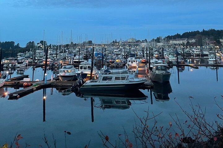 Small-Group Scenic Tour | SITKA SIGHTSEEING