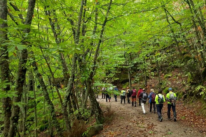 Sierra da Estrela Guided Hiking Tour - Wild Boar Route & Stories