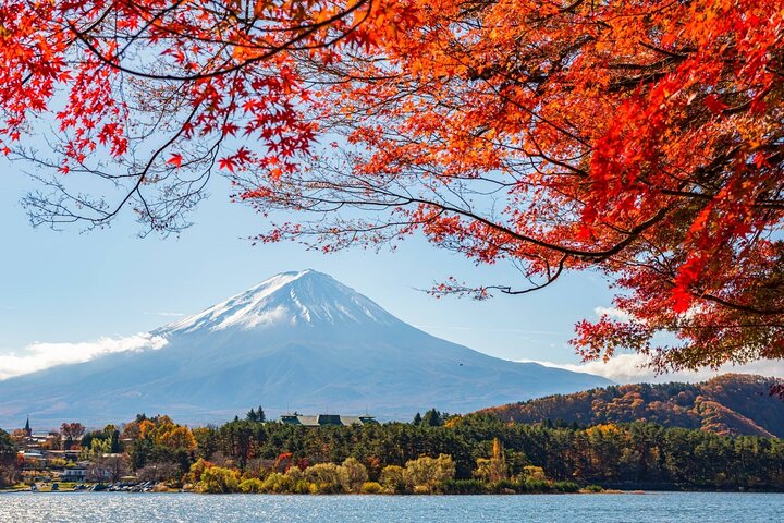 Mount Fuji Full Day Sightseeing Tour from Tokyo