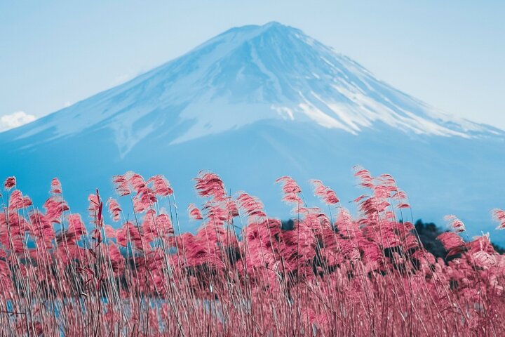 Mount Fuji Full Day Sightseeing Tour from Tokyo