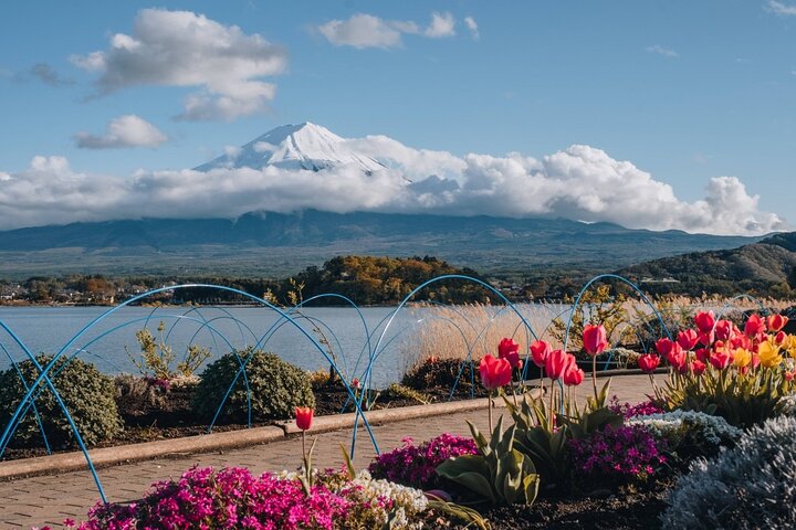 Mount Fuji Full Day Sightseeing Tour from Tokyo