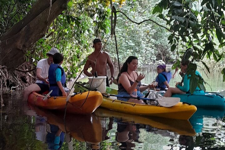 Discovery in Kayaking of the Faaroa River in Raiatea