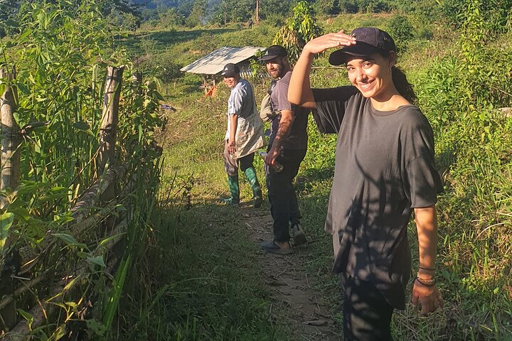 Dien Bien Phu Historic Pu To Co Trek