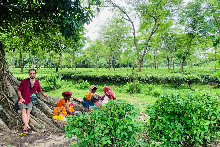 Charubala Homestay: A Community-Based Homestay in, Bangladesh