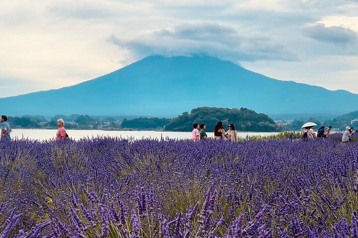 Fuji/Hakone Private Tour with English Guide & Fully Customizable