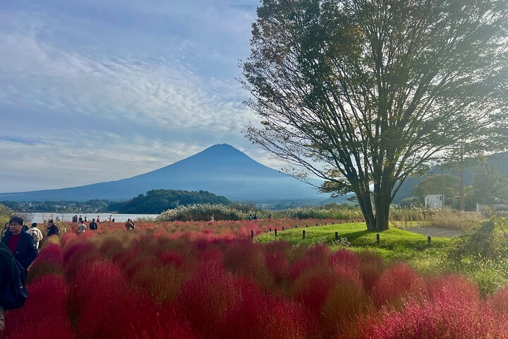 Fuji/Hakone Private Tour with English Guide & Fully Customizable