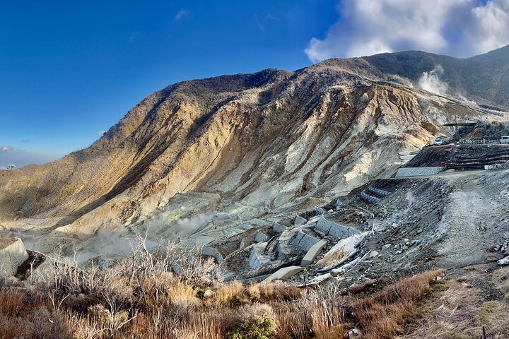 Fuji/Hakone Private Tour with English Guide & Fully Customizable