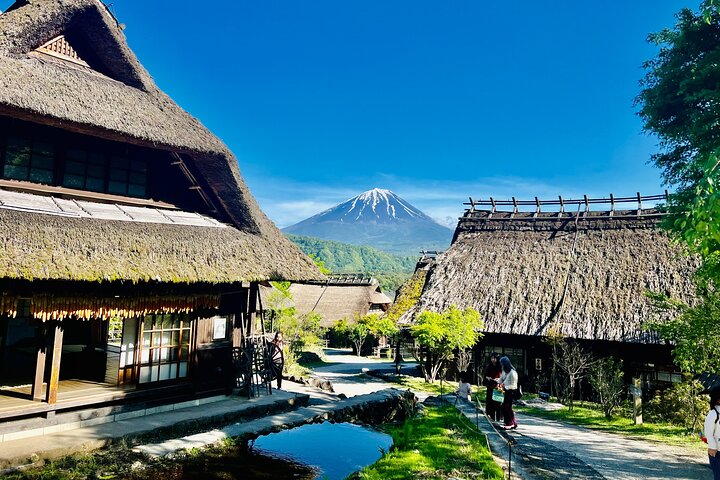 Fuji/Hakone Private Tour with English Guide & Fully Customizable