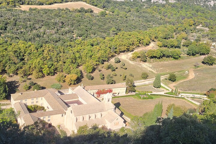 Highlights of Provence in One Day