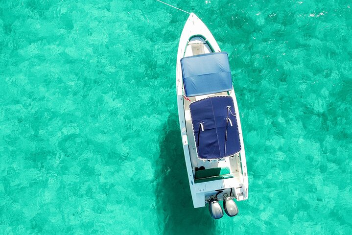 Private Nassau Rose Island Boat Tour Swimming Pigs, Turtles
