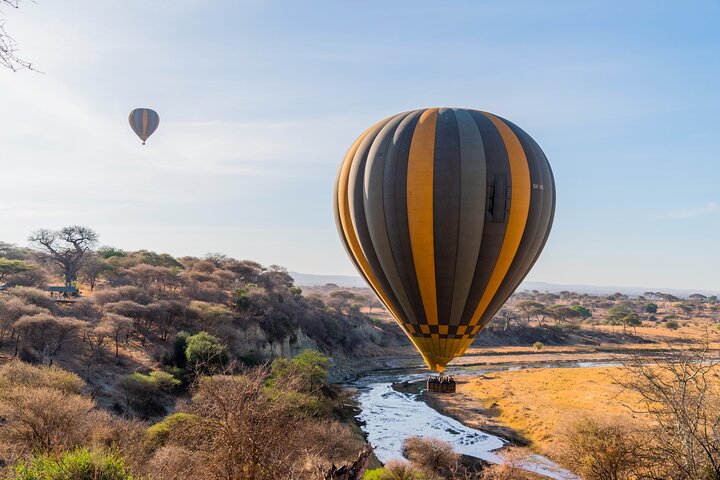 Balloon Safari & Bush Breakfast in Tarangire - Miracle Experience