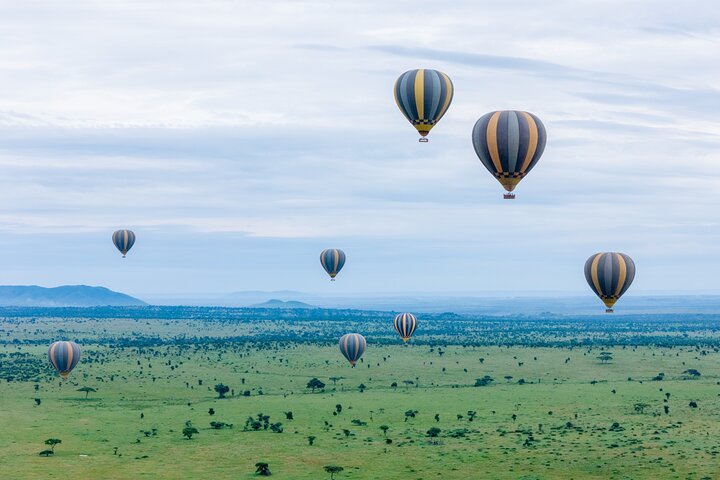 Balloon Safari & Bush Breakfast in Tarangire - Miracle Experience