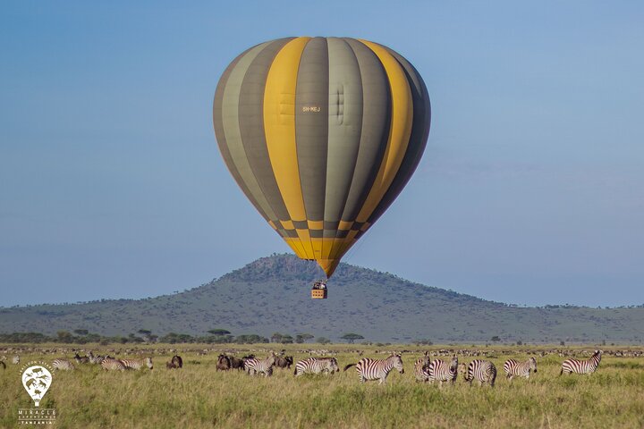 Balloon Safari & Bush Breakfast in Tarangire - Miracle Experience