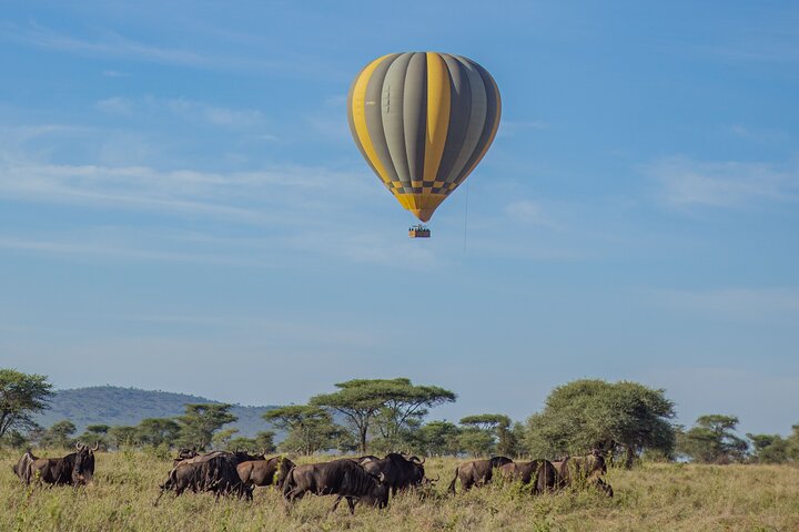 Balloon Safari & Bush Breakfast in Tarangire - Miracle Experience