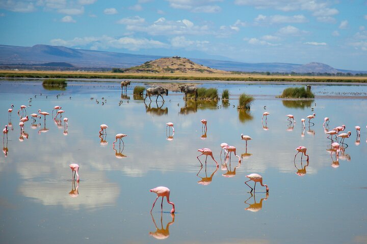 8-Days Private Kenya Safari Tour