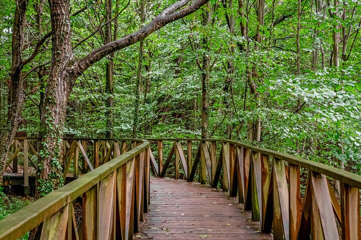 Santillana: Gaudí’s Caprice, Comillas and Redwood Forest