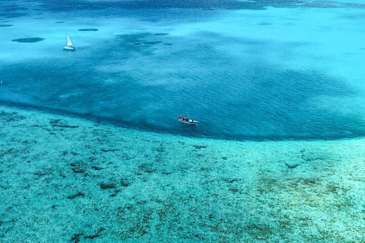 Johnny Kay and Aquarium Natural Full Day semi-private boat