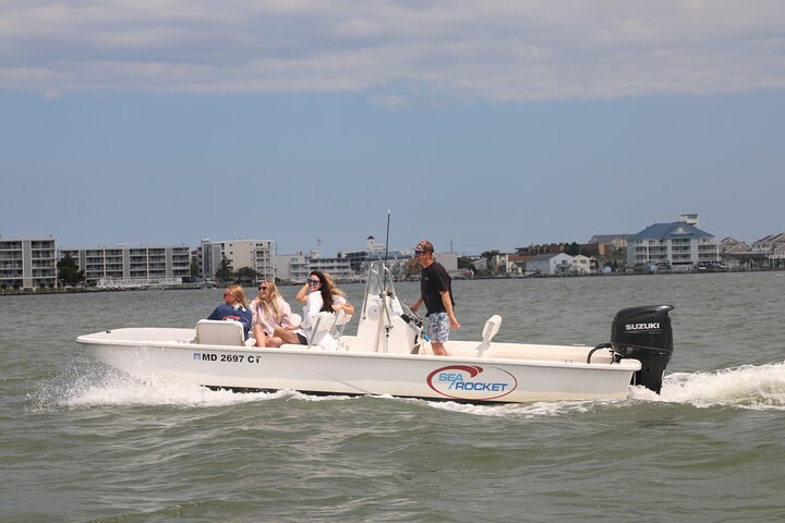 1-Hour Private Party Assateague Island Pony Cruise in Ocean City