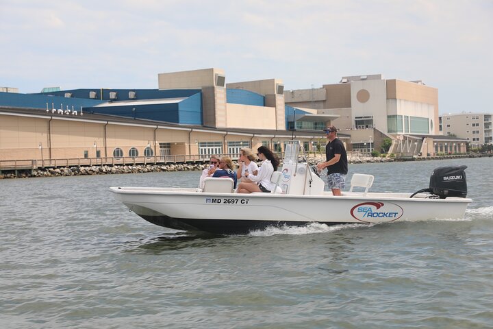 1-Hour Private Party Assateague Island Pony Cruise in Ocean City