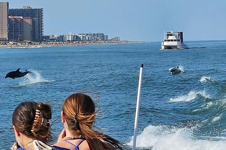 EARLY BIRD SPECIAL: Speed Boat & Dolphin Cruise in Ocean City, MD