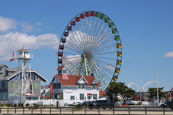 45-Minute Sea Rocket Speed Boat & Dolphin Cruise in Ocean City MD