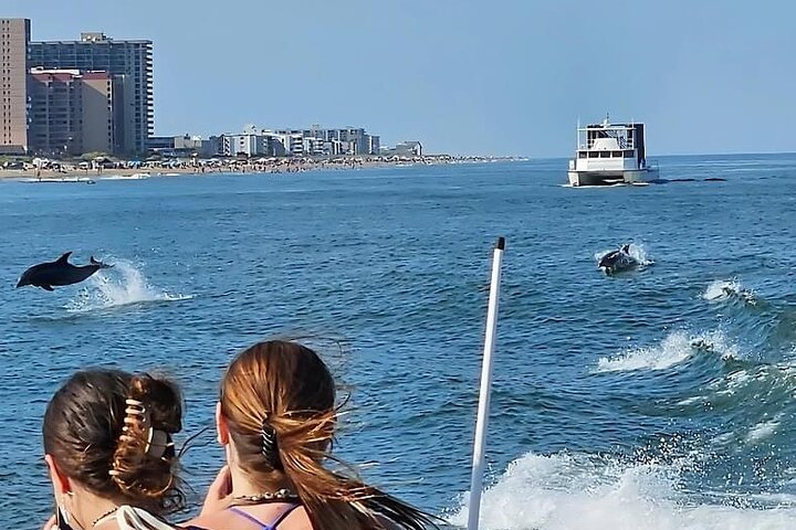 45-Minute Sea Rocket Speed Boat & Dolphin Cruise in Ocean City MD