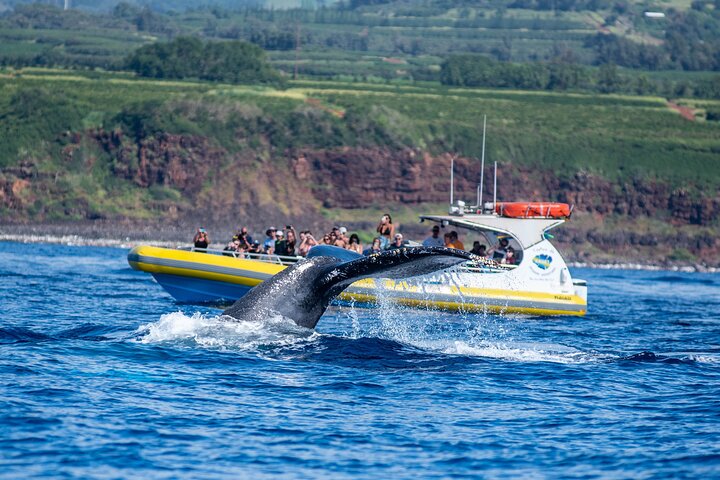 Kauai: Na Pali Coast Super Raft Snorkel Adventure