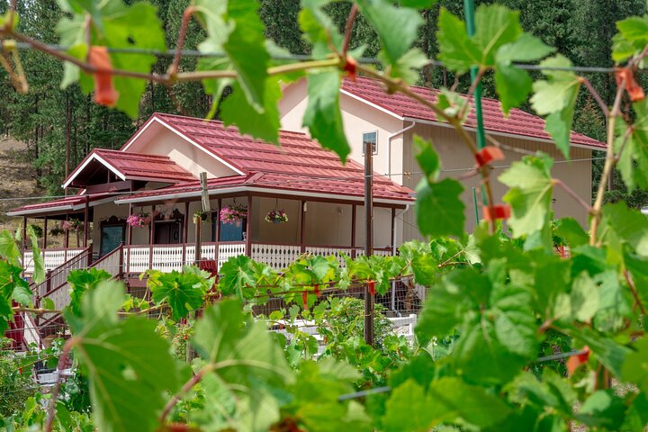 Private Wine Tasting in the American Alps