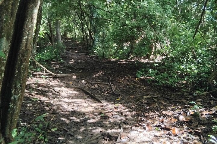Trinidad’s Mud Adventure Escape