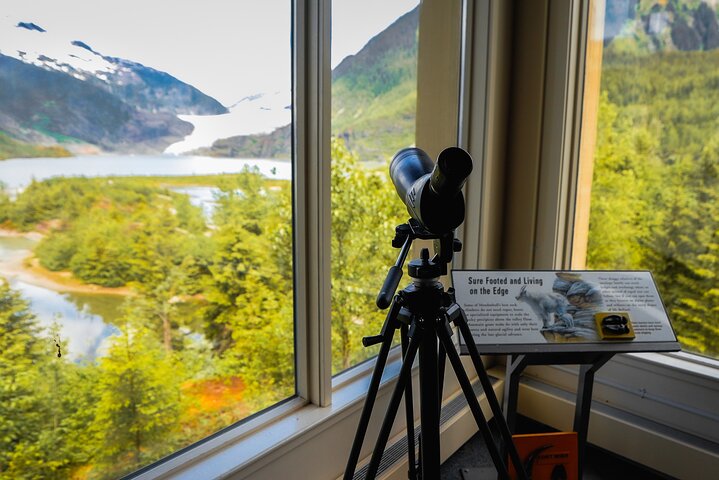 Mendenhall Glacier Express