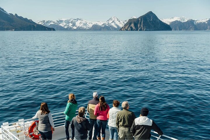 Captain's Choice Kenai Fjords National Park Tour from Seward
