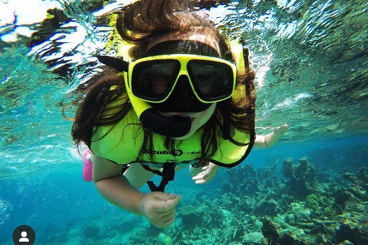 Snorkeling with Sea Turtles