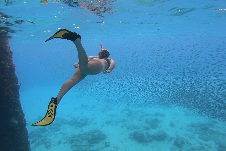 Snorkeling with Sea Turtles
