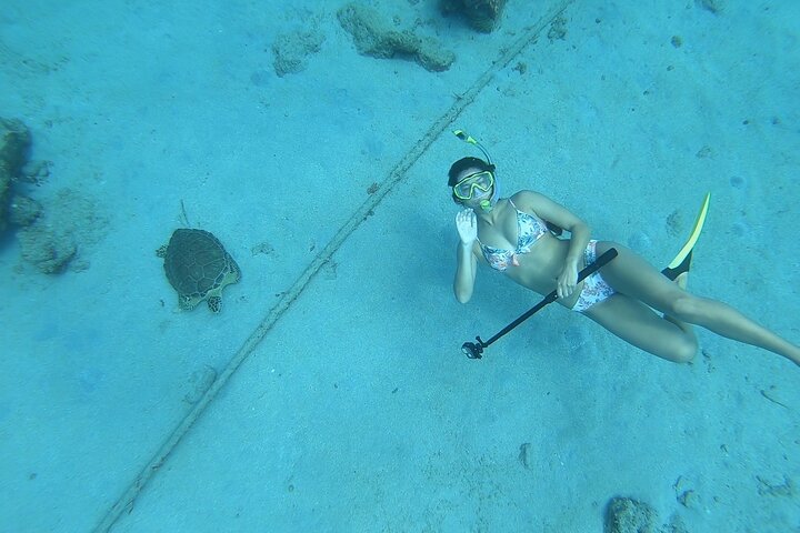 Snorkeling with Sea Turtles